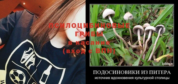 гидропоника Балабаново